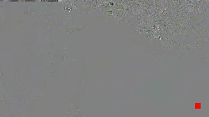 Caméra IP - US
