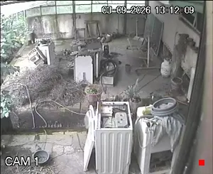 Caméra IP - UY