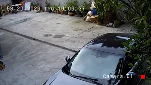 Caméra IP - MX