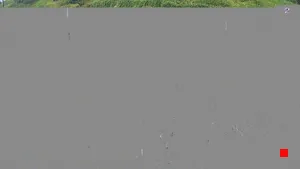 Caméra IP - IT