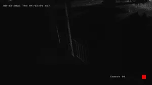 Caméra IP - US