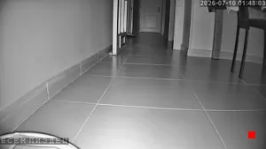 Caméra IP - ES