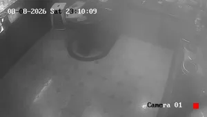 Caméra IP - IN