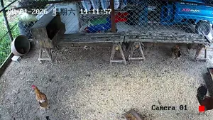 Caméra IP - CN