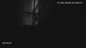 Caméra IP - IT