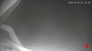 Caméra IP - ES