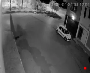 Caméra IP - IR