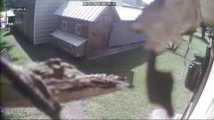Caméra IP - US
