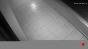 Caméra IP - GR
