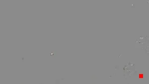 Caméra IP - IT