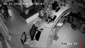 Caméra IP - GR