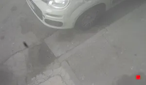 Caméra IP - IT
