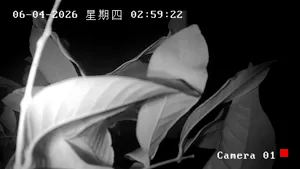 Caméra IP - CN