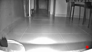 Caméra IP - ES