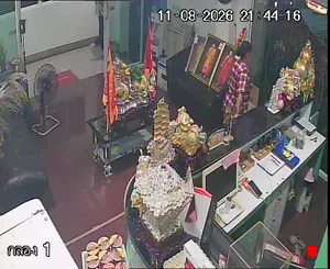 Caméra IP - TH