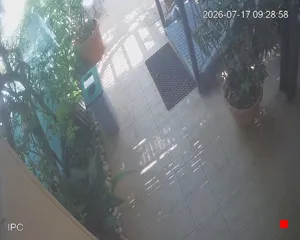 Caméra IP - IT