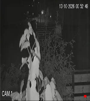 Caméra IP - IT