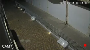 Caméra IP - IT
