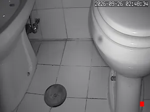 Caméra IP - IT