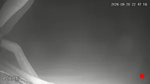 Caméra IP - ES