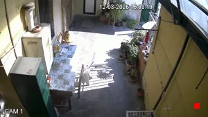 Caméra IP - IT