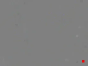 Caméra IP - IT