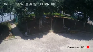 Caméra IP - CN
