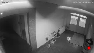 Caméra IP - DE