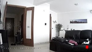 Caméra IP - IT
