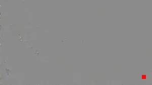 Caméra IP - ES