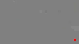 Caméra IP - RU