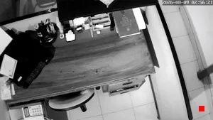 Caméra IP - MX