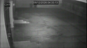Caméra IP - US