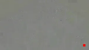 Caméra IP - TH