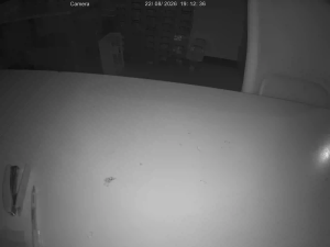 Caméra IP - US