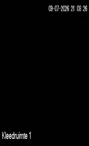 Caméra IP - NL