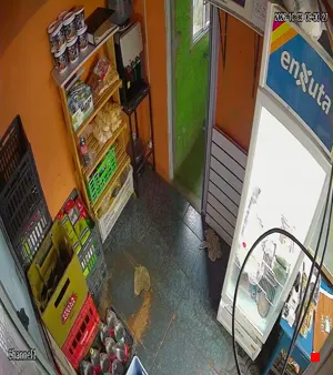 Caméra IP - UY