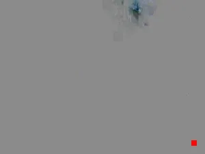 Caméra IP - IT