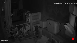 Caméra IP - IT