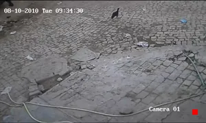 Caméra IP - ZA