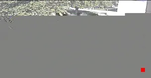 Caméra IP - US