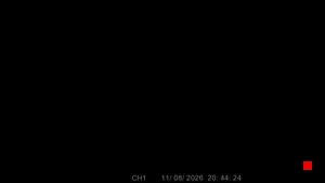 Caméra IP - TH