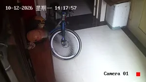 Caméra IP - CN