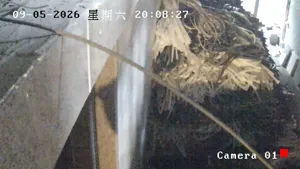 Caméra IP - CN