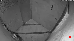 Caméra IP - IR