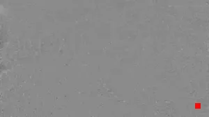 Caméra IP - HU