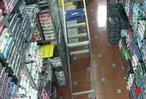 Caméra IP - MX