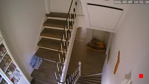 Caméra IP - DE