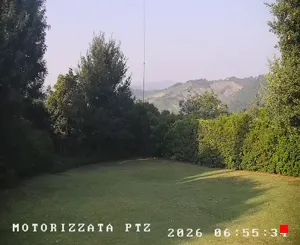 Caméra IP - IT