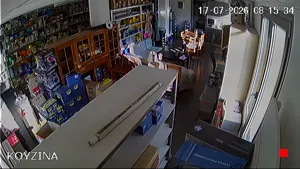 Caméra IP - GR